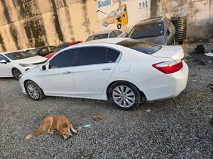 Honda Accord 2014 White