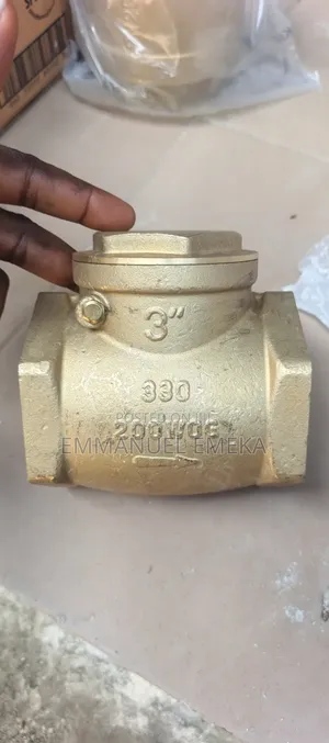 3" Check Valve/Non-Return Valve