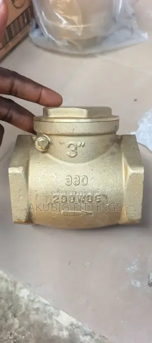 3" Check Valve/Non-Return Valve