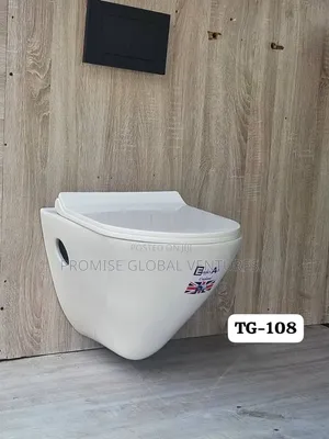 High Standard Wall Hung Wc