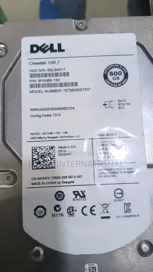 600g Sas HDD