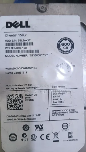 600g Sas HDD