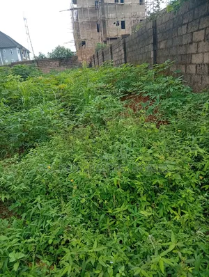 Land for Sale at Back of Goshen Estate