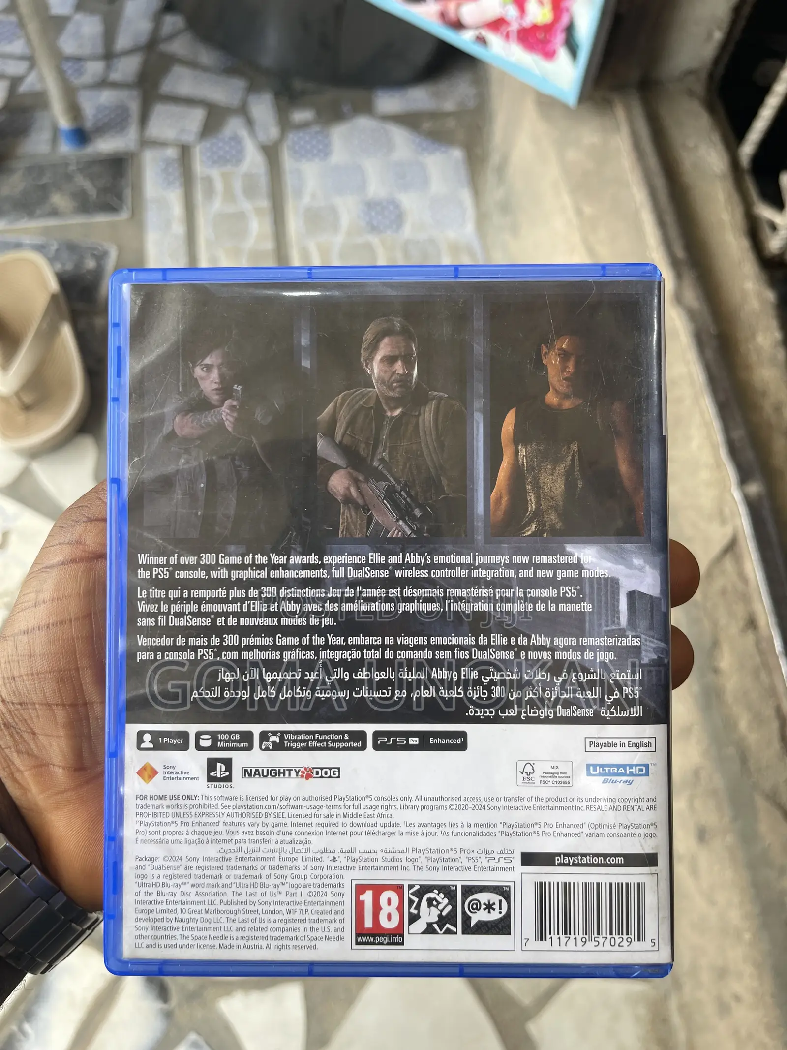 Last of Us 2 Remastered