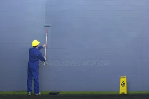 Leo House and Office Painting, Screeding and Stucco