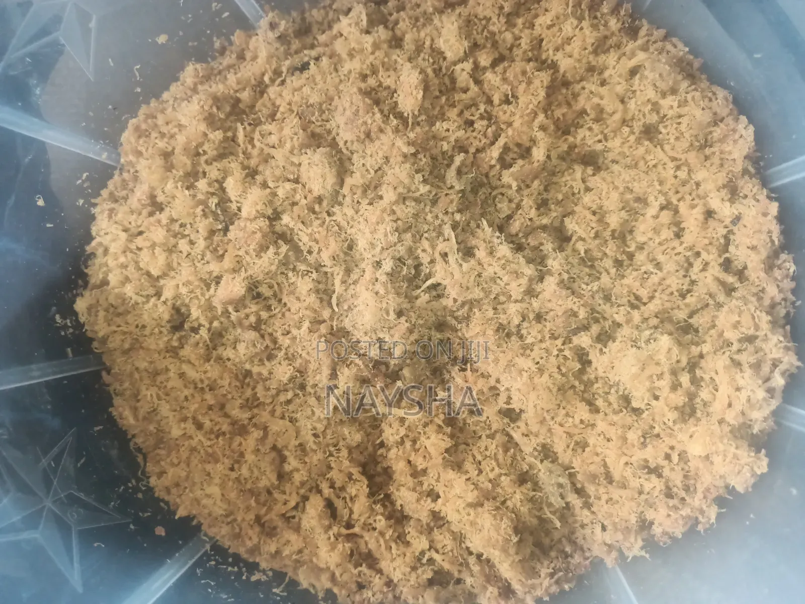 Dambun Nama (Meat Floss)