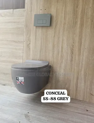 Wall Hung Conceal Water Closet