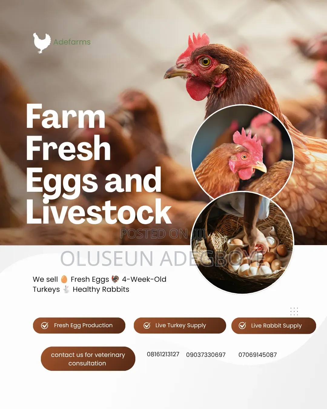 Veterinary Services