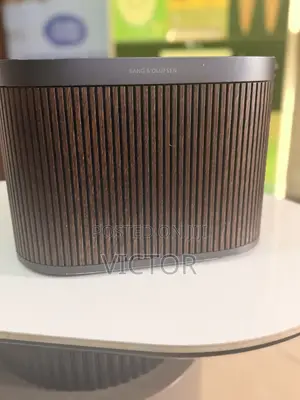B&O High-End Speaker