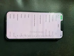 Apple iPhone 13 128 GB Gray