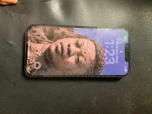 Apple iPhone 13 128 GB Gray