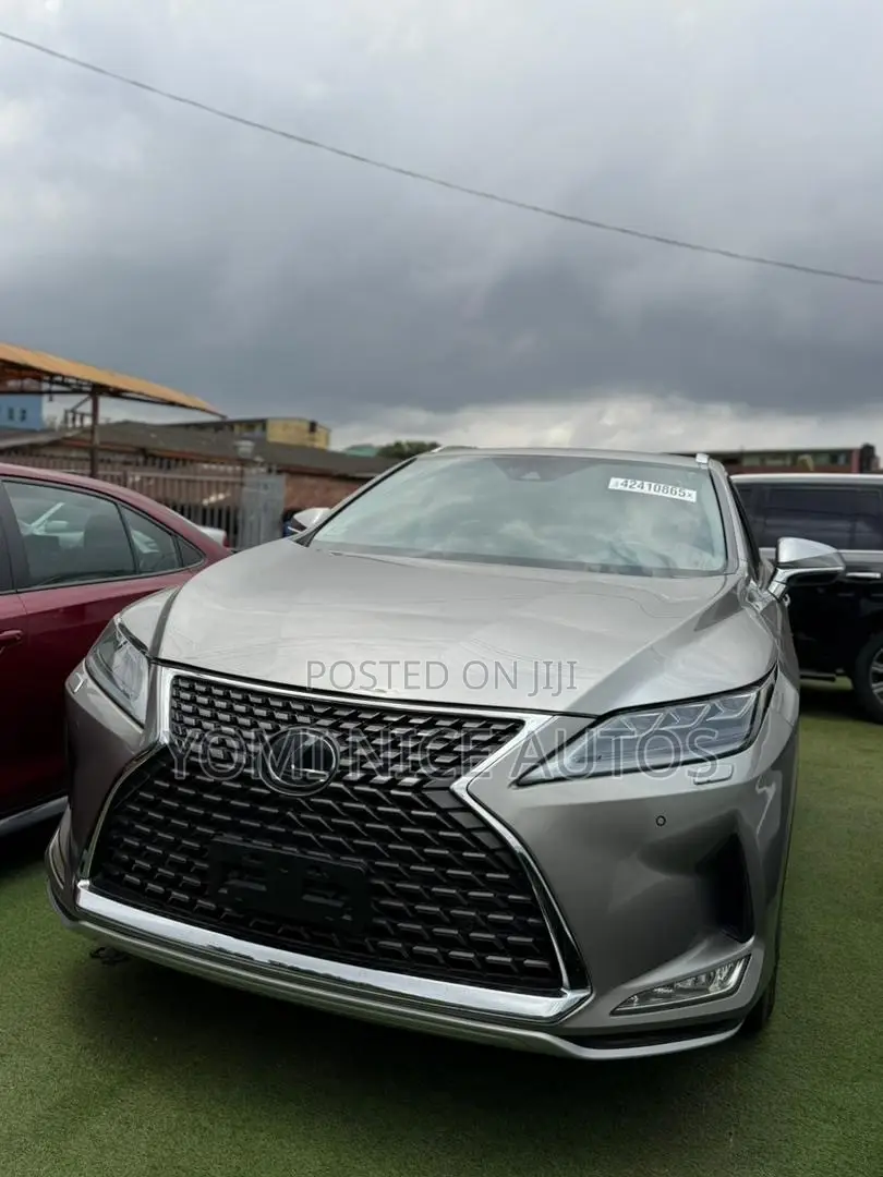 Lexus RX 2020 Gray
