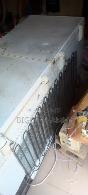 Double Door Thermocool Deep Freezer