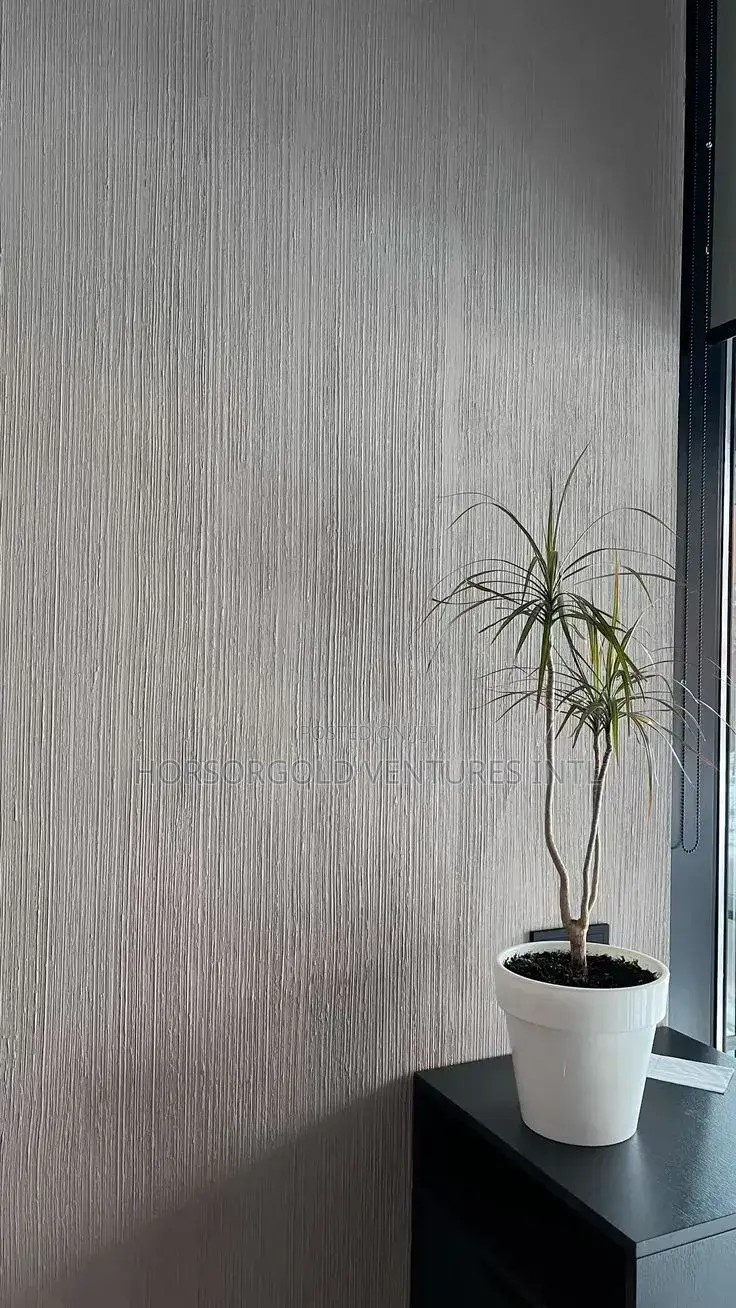 Limewash Painter in Lagos