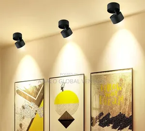 Led Adjustable Spot Light Warm White