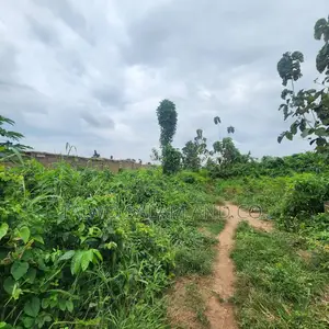 5.3acres Land With CofO