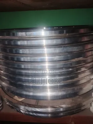 Stainless Ring Gasket 12"