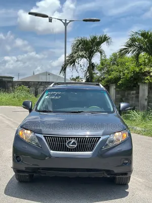 Lexus RX 350 2010 Gray