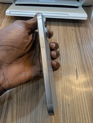 Apple iPhone 15 Pro Max 256 GB Gray