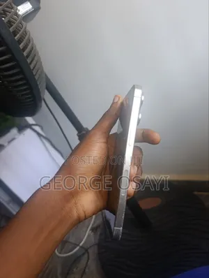Apple iPhone 15 Pro Max 256 GB Silver
