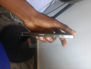 Apple iPhone 15 Pro Max 256 GB Silver