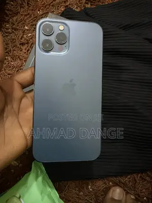 Apple iPhone 12 Pro Max 256 GB Blue