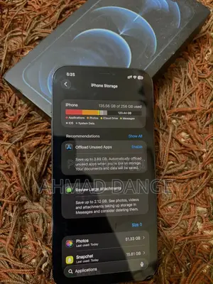 Apple iPhone 12 Pro Max 256 GB Blue