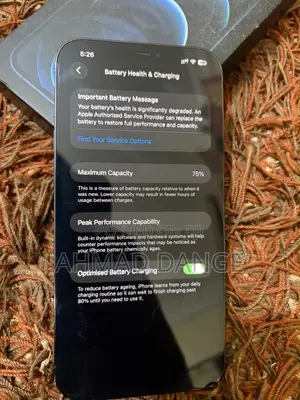 Apple iPhone 12 Pro Max 256 GB Blue