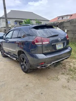 Lexus RX 2009 Gray