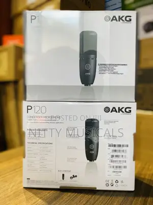 AKG P120 Studio Condenser Microphone