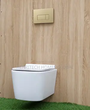 Conceal Wall-Hung Water Closet Premium Quality