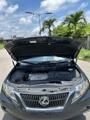 Lexus RX 350 2010 Gray