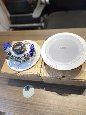 AK Super Celing Speaker 2in1