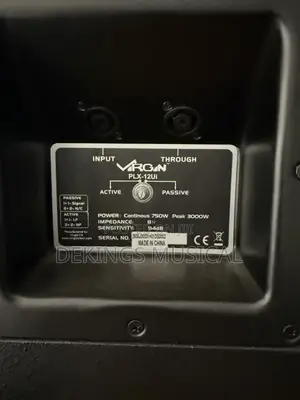 Professional Virgin Passive Speavker PLX-12ui