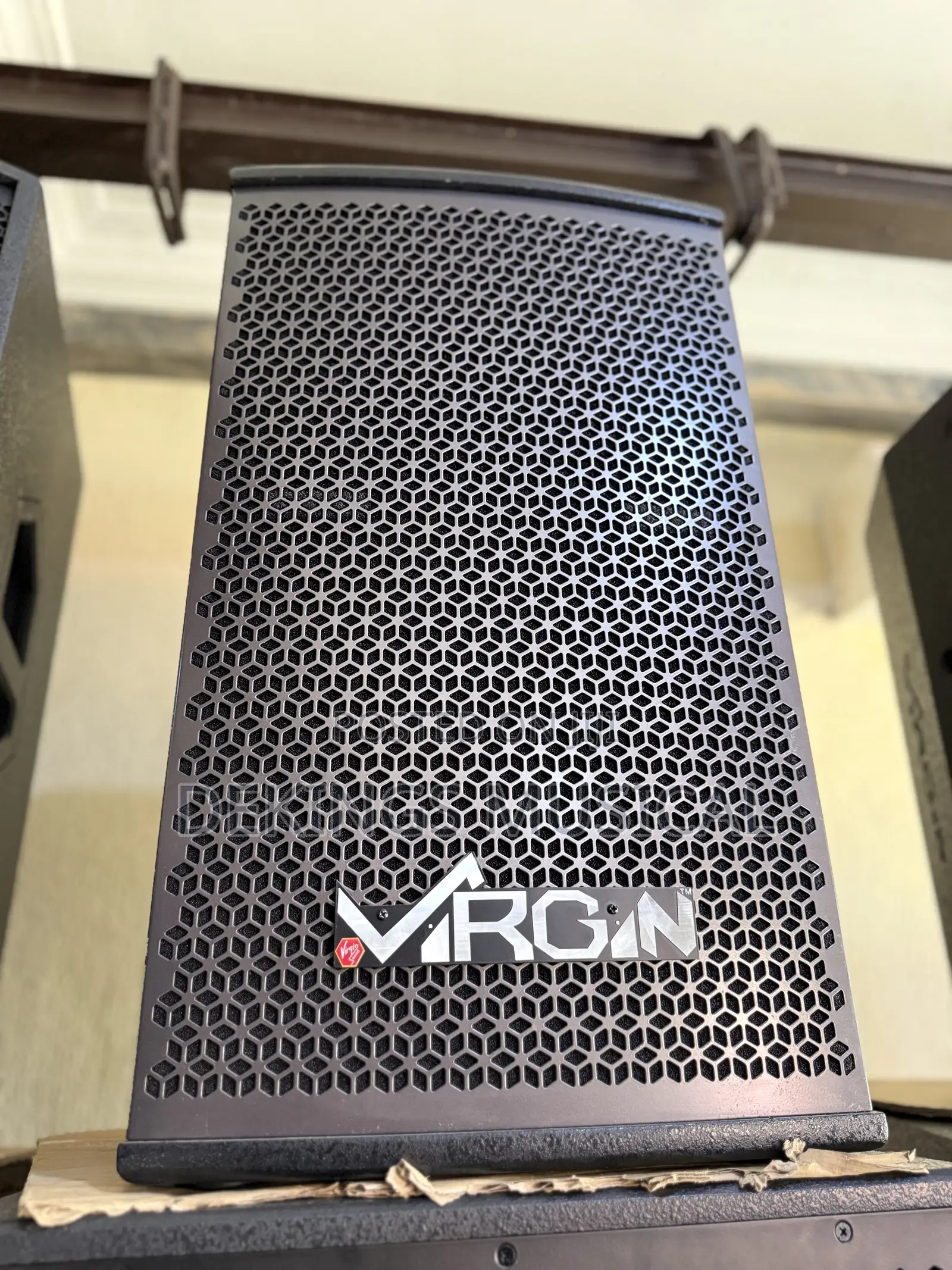 Professional Virgin Passive Speavker PLX-12ui