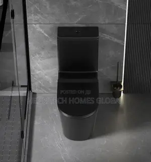 Black Matt Executive Water Closet Premium Quality With Warranty
