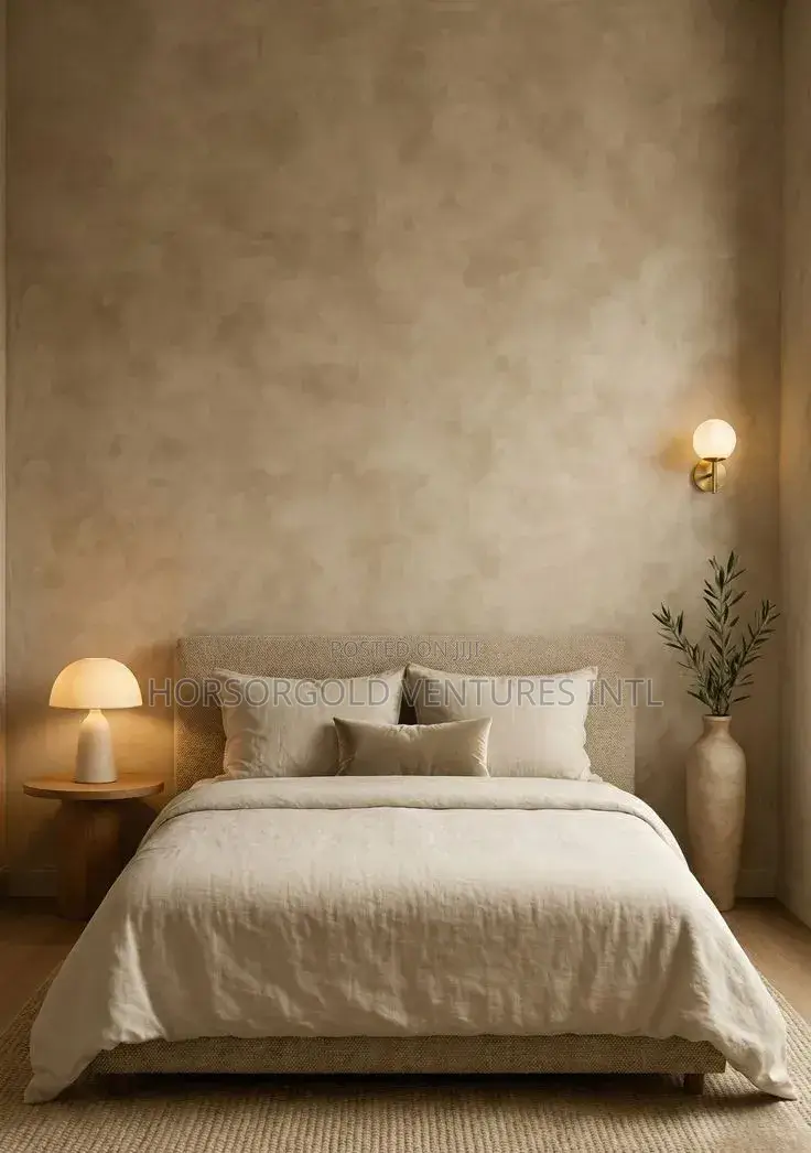 Limewash Painter in Lagos