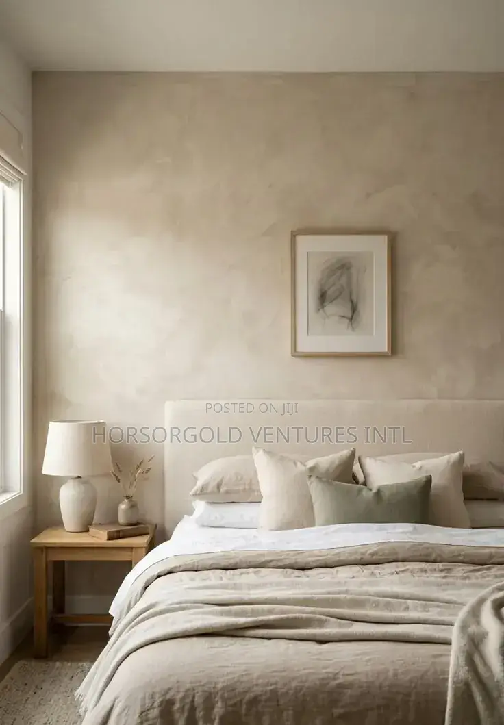 Limewash Painter in Lagos