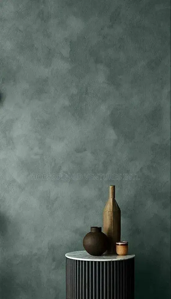 Limewash Painter in Lagos