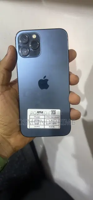 Apple iPhone 12 Pro Max 256 GB Blue