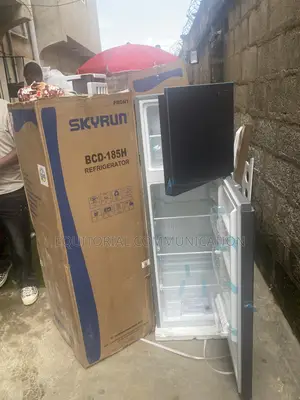 Skyrun 180l BCD-185h Food Cooler