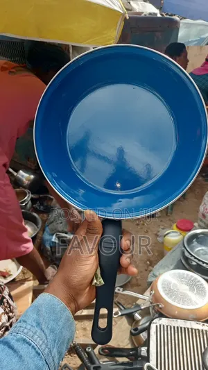 Non- Stick Fry Pan 