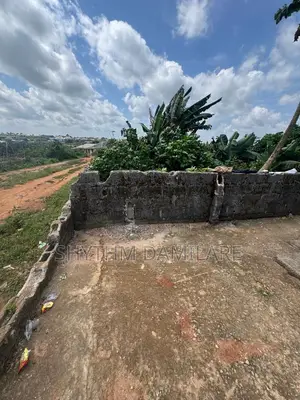 Land and Property