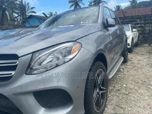 Mercedes-Benz GLE-Class GLE 350d 4MATIC 2017 Gray