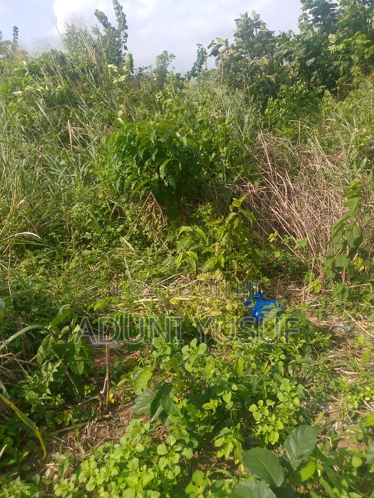 A Plot of Land