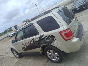 Ford Escape Limited 2WD 3.0 2008 Gray
