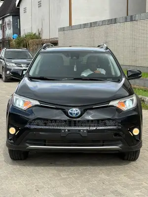 Toyota RAV4 XLE AWD (2.5L 4cyl 6A) 2017 Black
