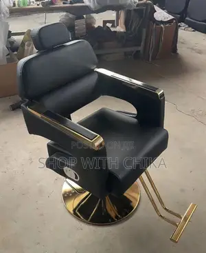 Salon Chair