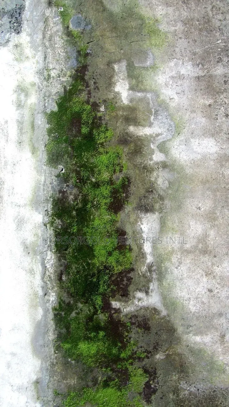 Algae Killer