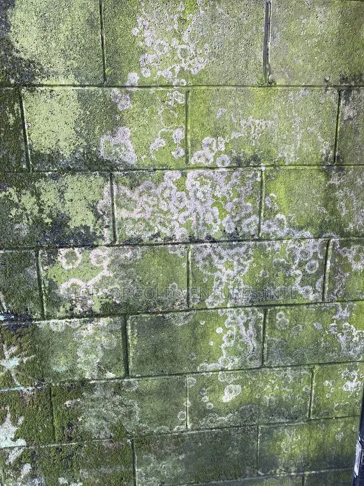 Algae Killer